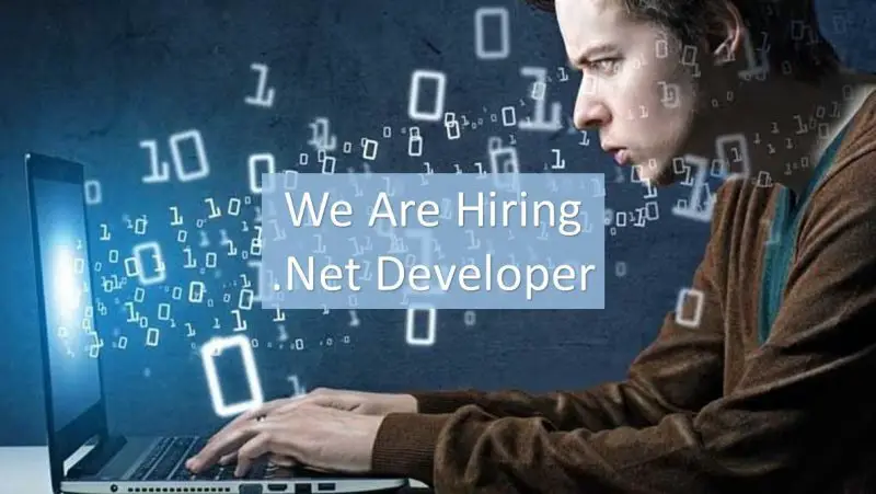 .Net Developer - STJEGYPT