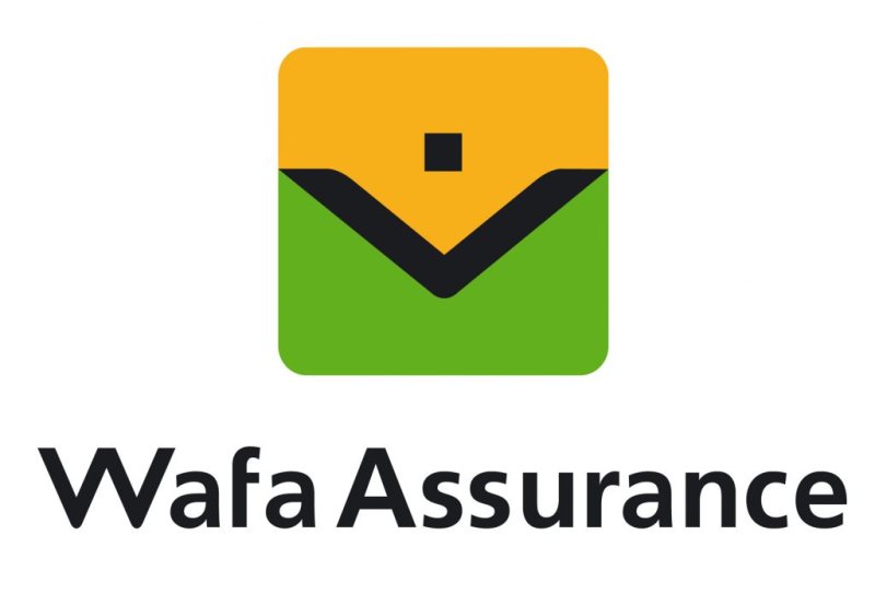 Bancassurance financial advisor at Wafa Life Insurance - STJEGYPT