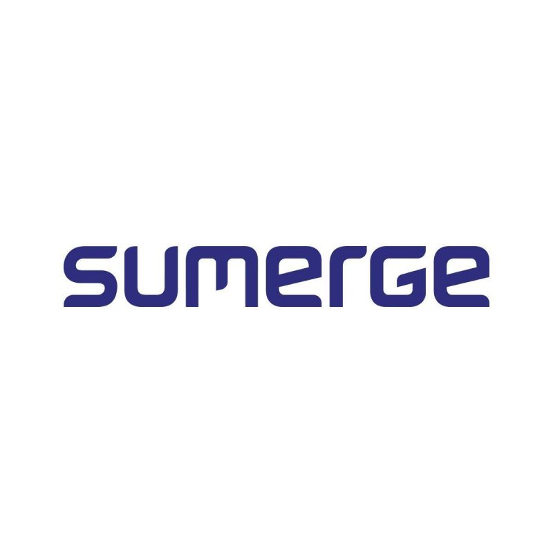 accountants at Sumerge - STJEGYPT