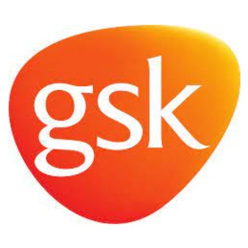 Financial Analyst _ GSK - STJEGYPT