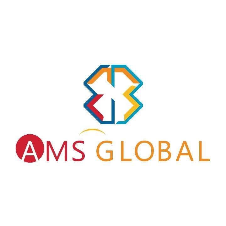 entry level Financial Analyst at AMS Global - STJEGYPT