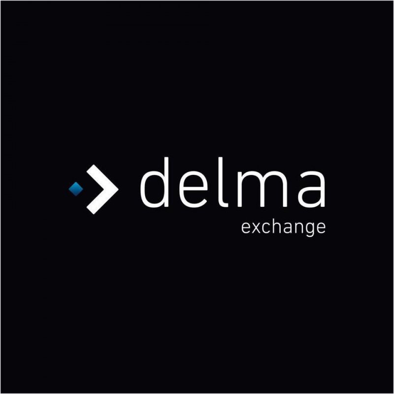 Junior Accountant at delma exchange - STJEGYPT
