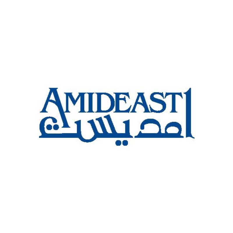 more than 3 new vacancies at AMIDEAST - STJEGYPT