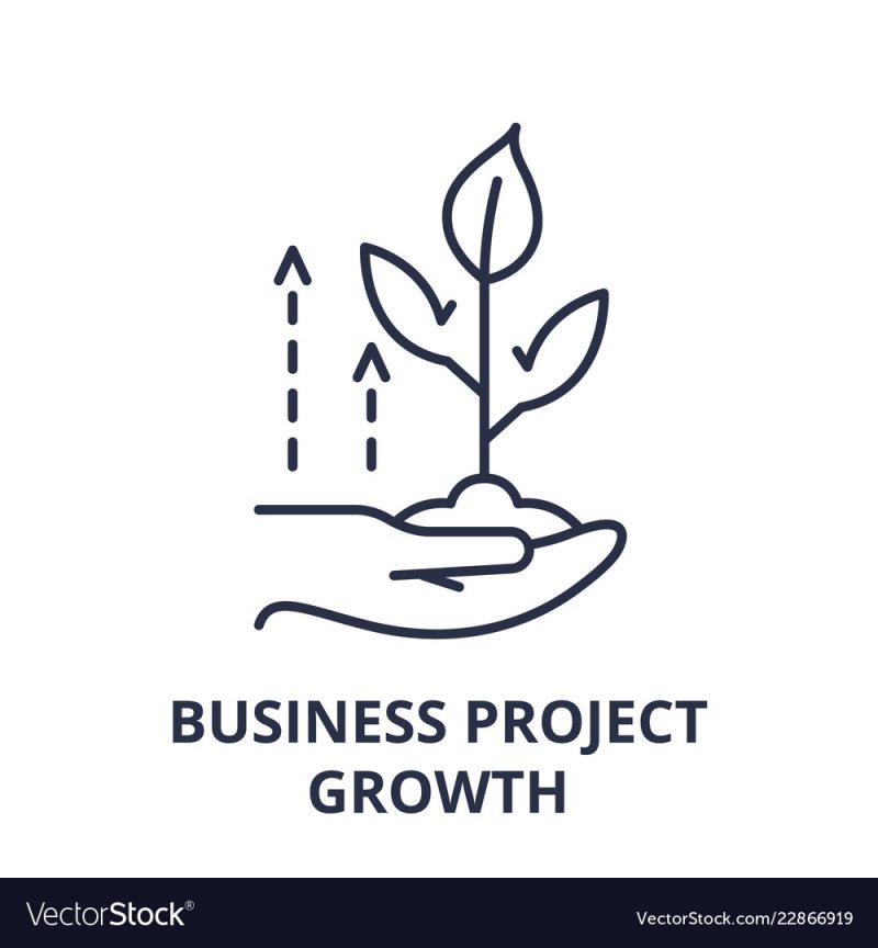 Junior Account At Project Growth - STJEGYPT