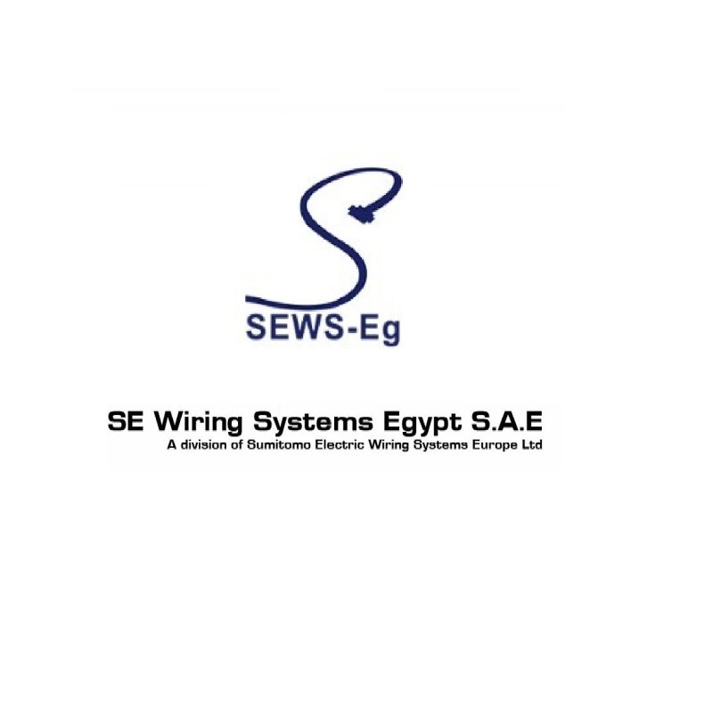 HR Personnel Assistant at SE Wiring Systems EGYPT - STJEGYPT