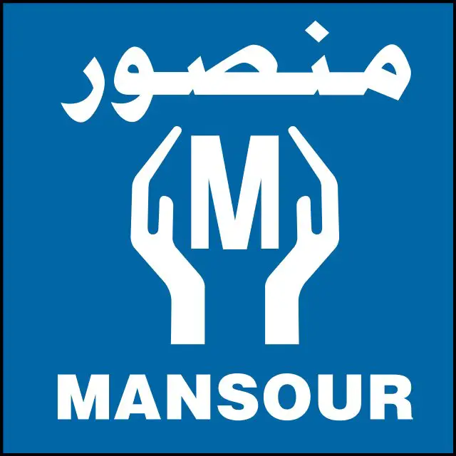 Accounts Payable Accountant - Al-Mansour Automotive - STJEGYPT