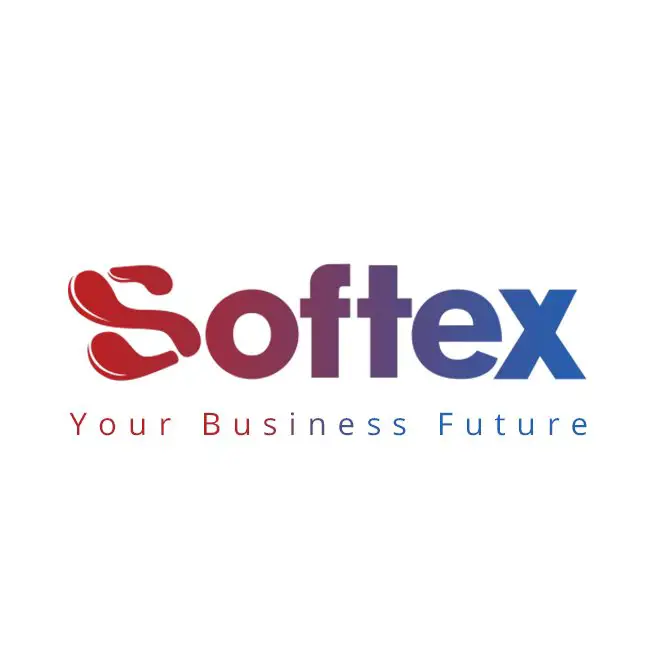 General Accountant at Softex - STJEGYPT