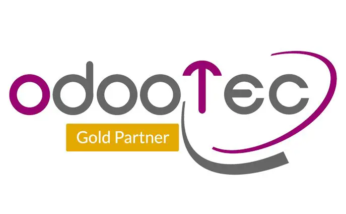 Accountant , OdooTopTech - STJEGYPT
