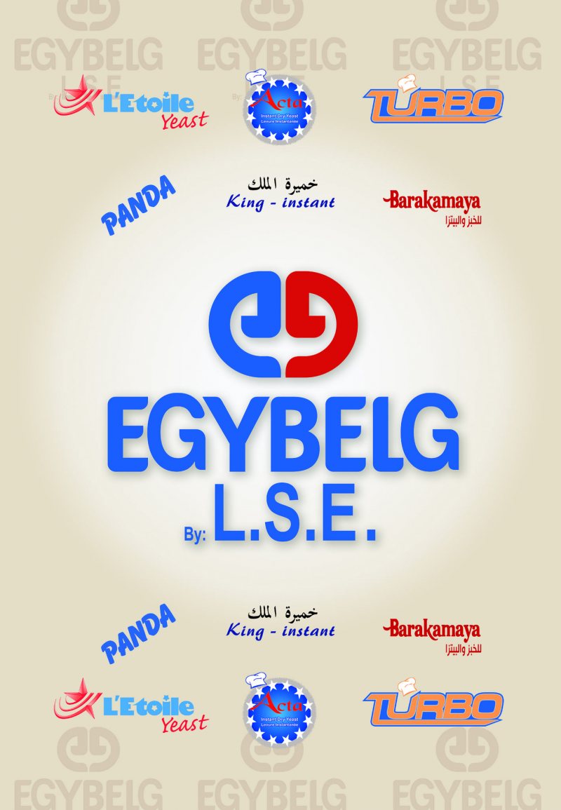 Office Admin Salary Range From 4000 To 5000 LE STJEGYPT