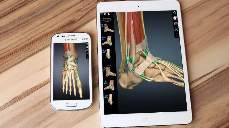 تطبيق Anatomy Learning لشرح جسم الانسان ثلاثي الابعاد - STJEGYPT