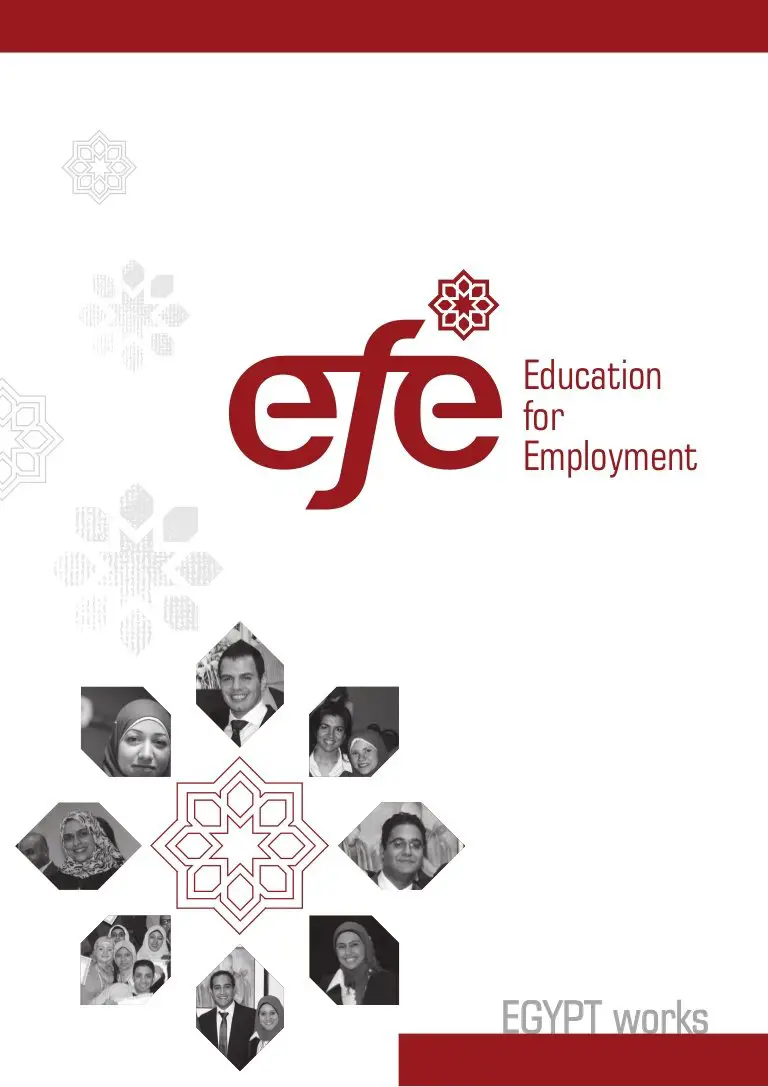 Communications and Digital Specialist in EFE - STJEGYPT