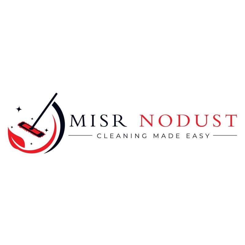 data entry at  Misr Nodust Services - STJEGYPT