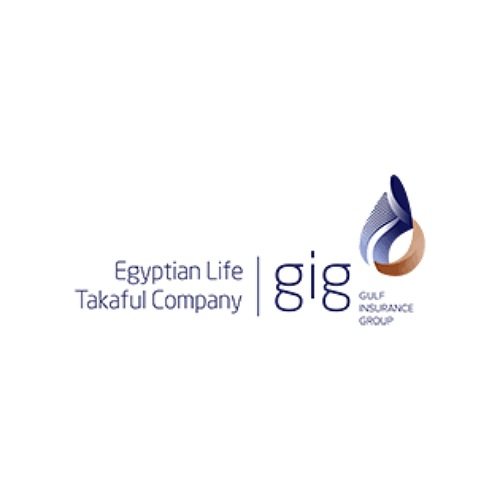 Accountant Payable- gig Egypt - STJEGYPT