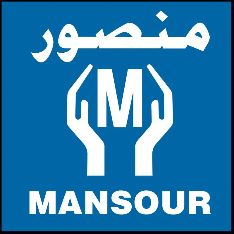 accountant at mansour group - STJEGYPT