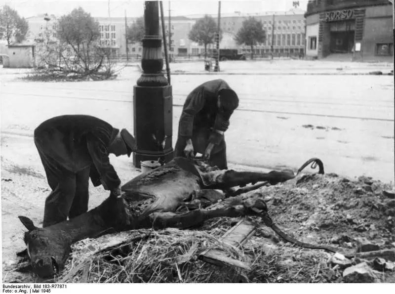 صورة قاسية المانية بعد الحرب العالمية - STJEGYPT
