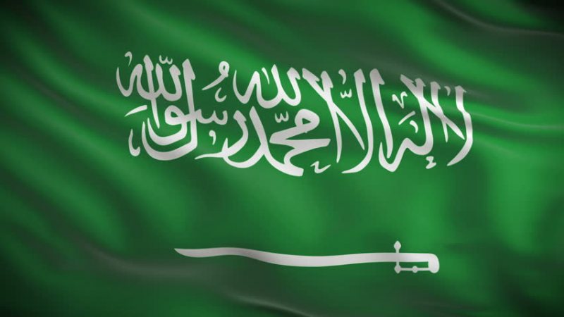 محاسبين في السعودية - STJEGYPT