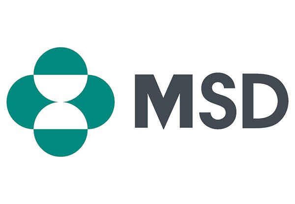 Accountant,MSD - STJEGYPT