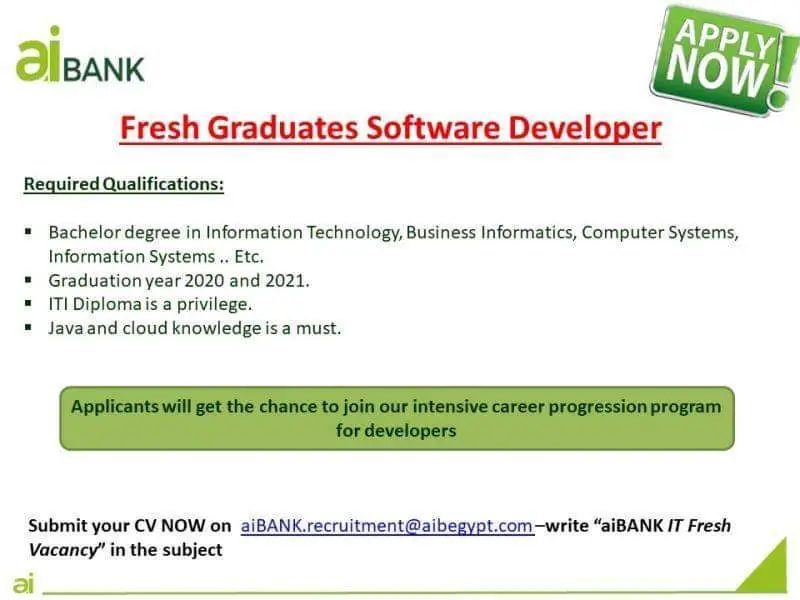 Software Developer- Ai bank - STJEGYPT
