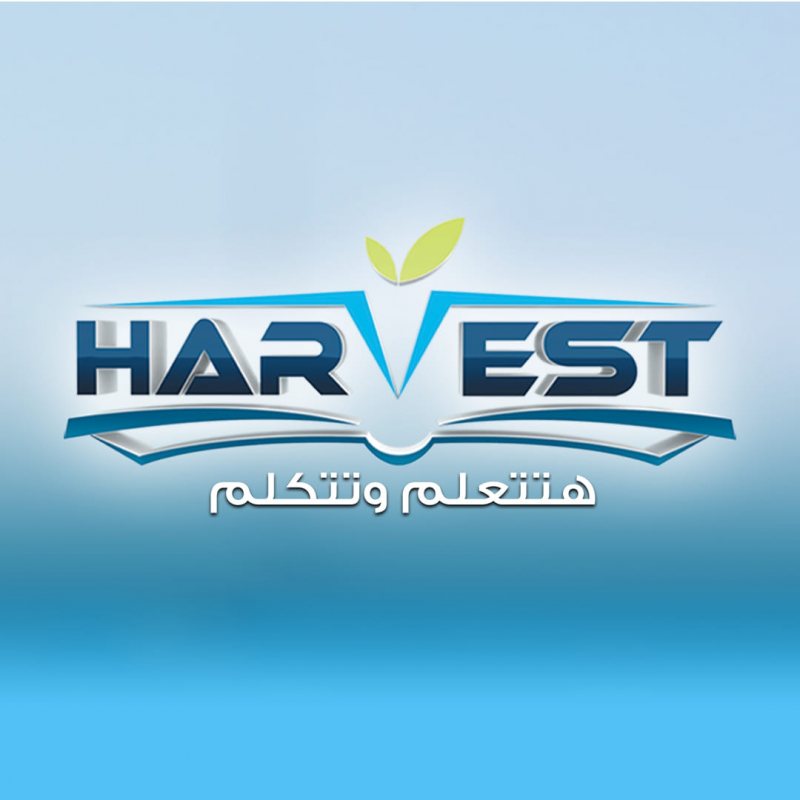 Accountant at Harvest British College - STJEGYPT