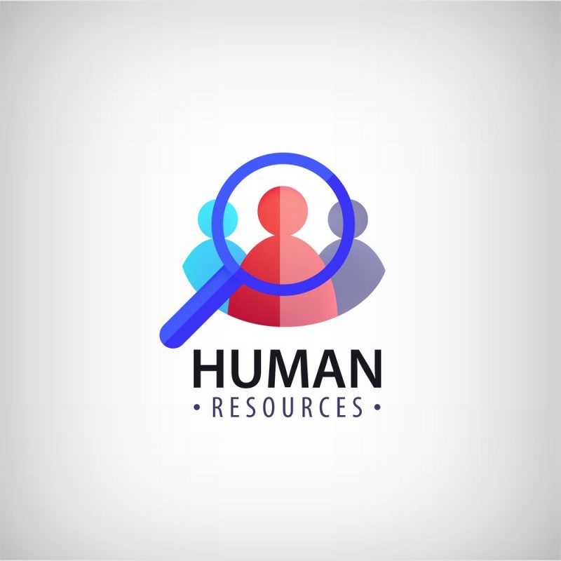 HR Assistant fresh graduate - STJEGYPT