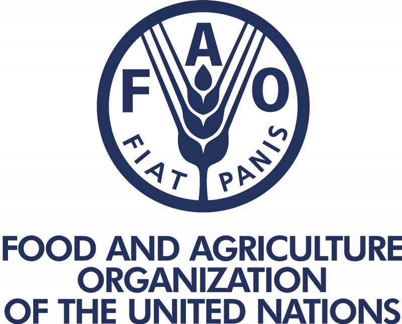 Office Assistant,FAO - STJEGYPT