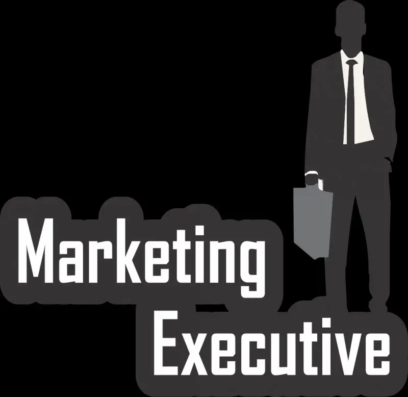 marketing executive - STJEGYPT