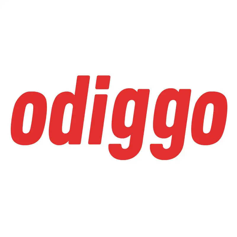 Junior Accountant - Odiggo - STJEGYPT