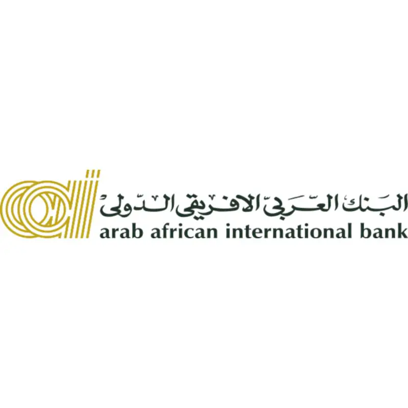 SMEs RM/Senior RM at Arab African International Bank - STJEGYPT