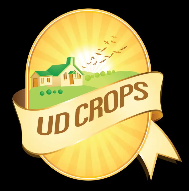 UD Crops is hiring:  - Account payable - Account receivable - STJEGYPT
