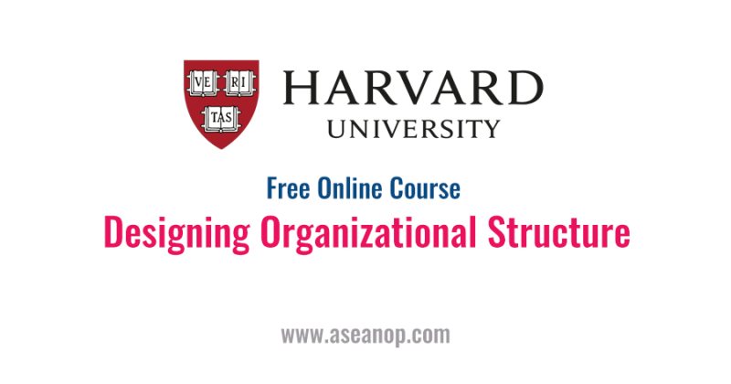 9- Designing Organizational Structure - STJEGYPT
