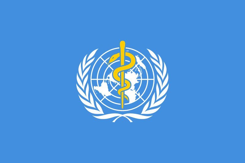 Programme Assistant - World Health Organization - STJEGYPT