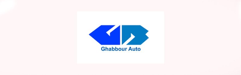 Accountants, Ghabbour - STJEGYPT