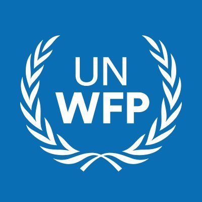 Roaming Finance Officer NOA, (Fixed Term), Regional Bureau Cairo