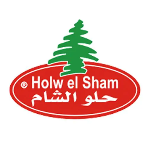 Junior Accountant at Holw El Sham Group - STJEGYPT