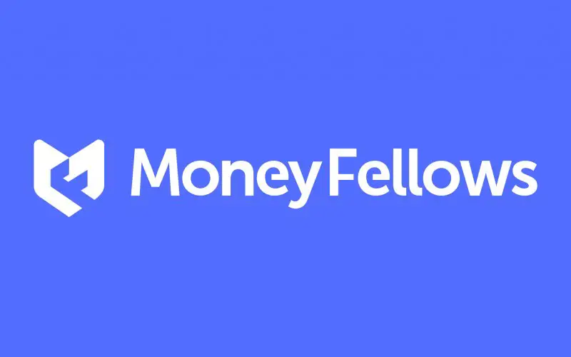 Junior Accountant - MoneyFellows - STJEGYPT