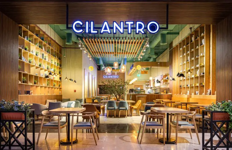 CILANTRO Cafe is looking for Junior  Accountants - STJEGYPT