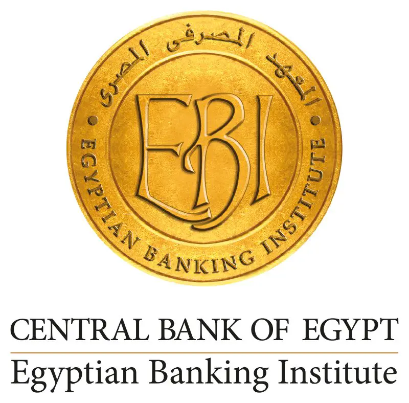 Dot Net Developer at Egyptian Banking Institute - STJEGYPT
