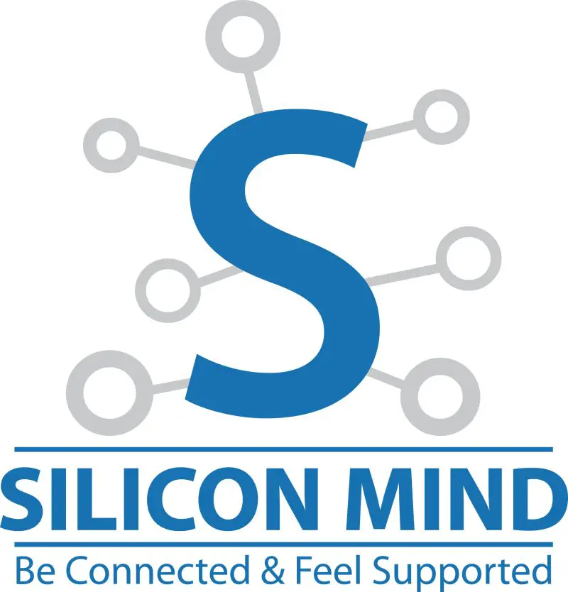 Junior Accountant at  Silicon Mind - STJEGYPT