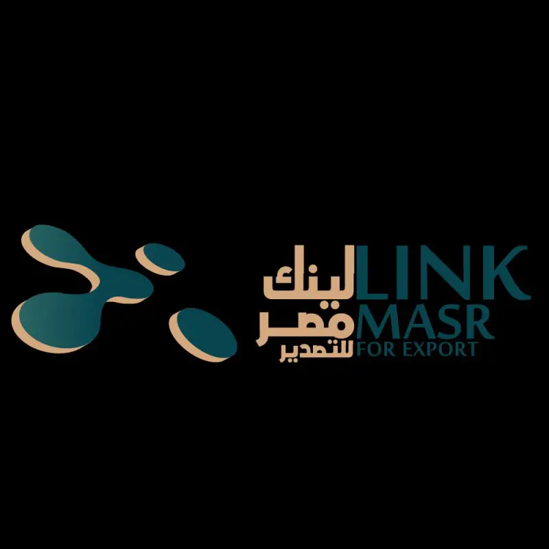 HR Partner at Link-Masr - STJEGYPT
