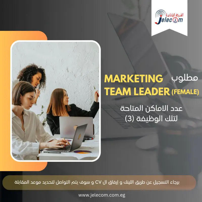marketing team leader - STJEGYPT