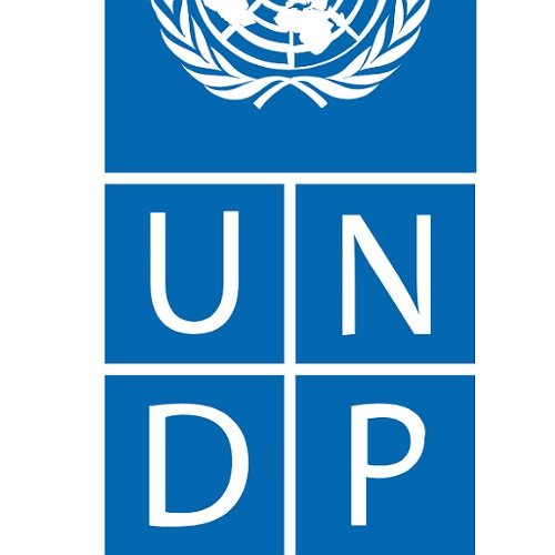 UNDP Egypt Internship - STJEGYPT