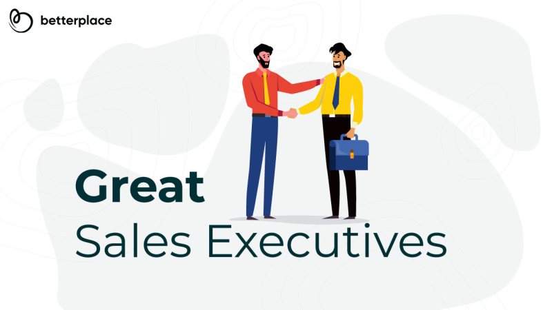 Sales Executive - STJEGYPT