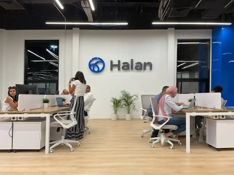 27 Available jobs at Halan - STJEGYPT
