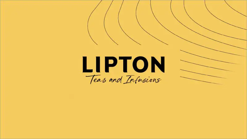 Financial Accountant At LIPTON Teas and Infusions - STJEGYPT