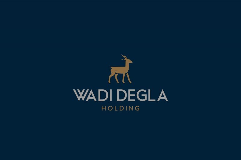 Egypro FME Wadi Degla Holding Company is now hiring Admin Assistant - STJEGYPT
