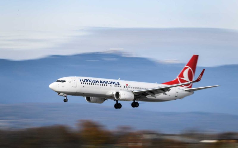 Sales and Station Agent At Turkish Airlines - STJEGYPT
