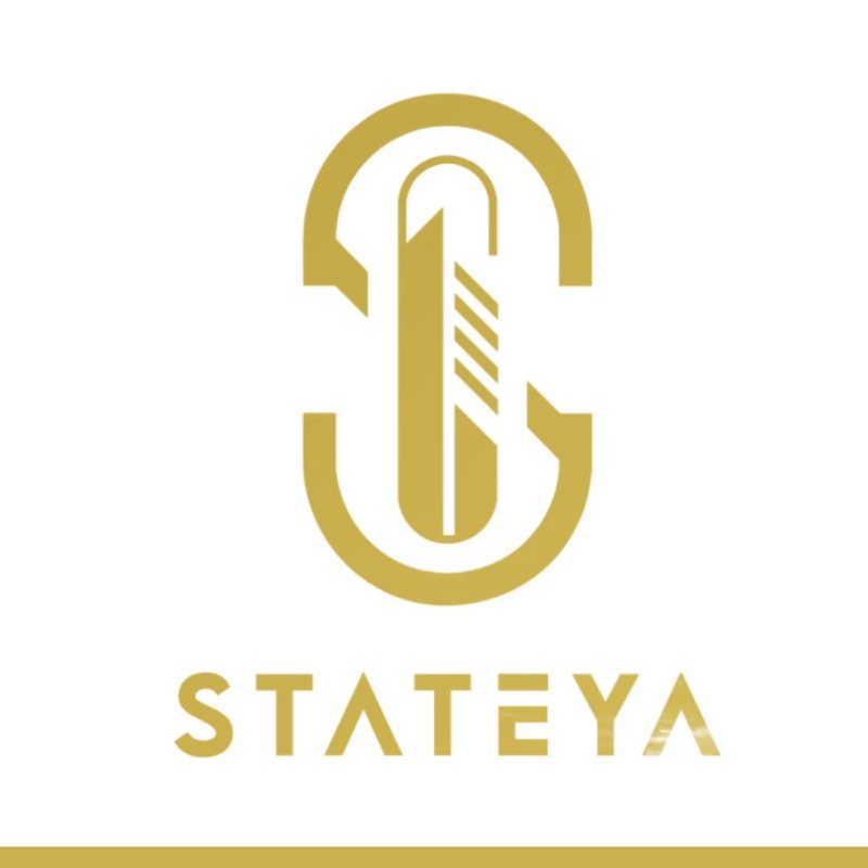 Senior Media Buyer at Stateya - STJEGYPT