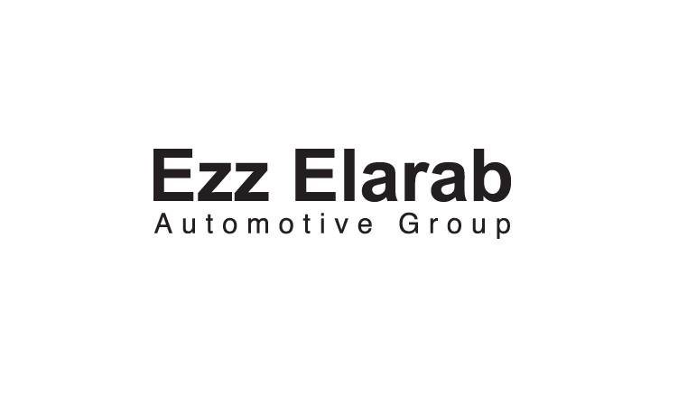 Treasury Accountant - Ezz-Elarab Automotive Group - STJEGYPT