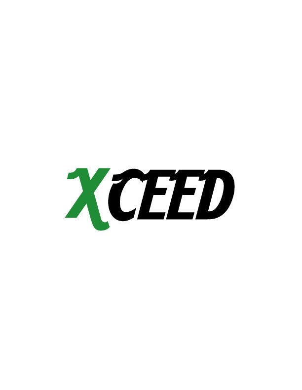 HR Recruiters fresh graduate at xceed - STJEGYPT