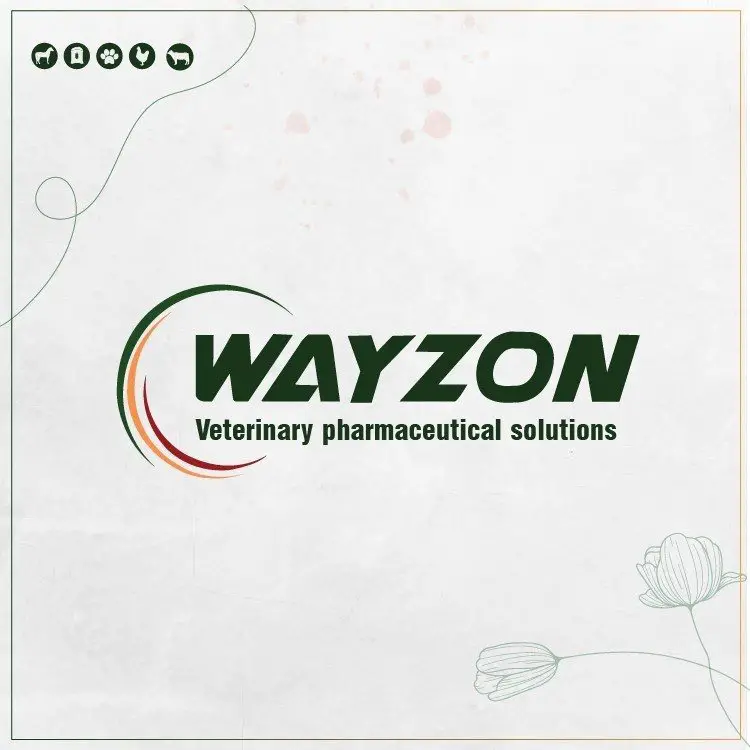 Accountant at Wayzon Pharma - STJEGYPT